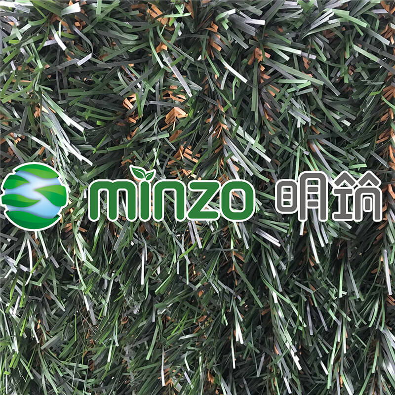 MZ181001M