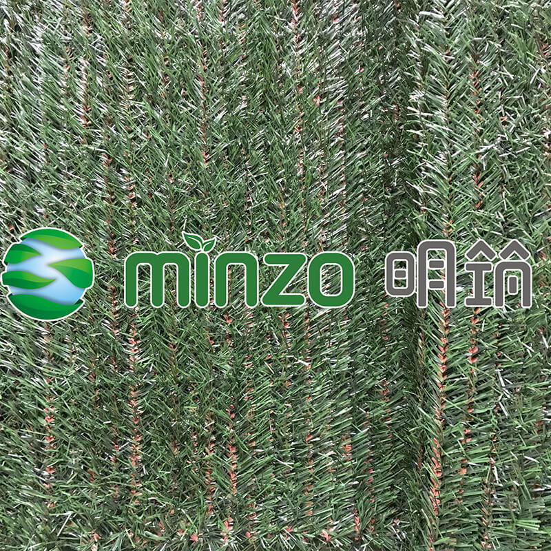 MZ181001N