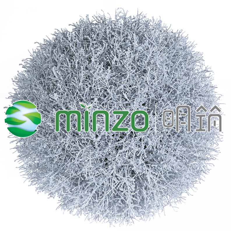 MZ185018A